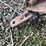 oliver-superior-8ft-grain-drill-image-5