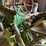 john-deere-b-image-3