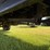 1976-c60-grain-truck,-single-axel,-15’-steel-box,-wood-floor,-roll-tarp,-v8-350-motor,-4-speed-2-spe-image-37