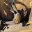 haybuster-2650-image-4