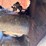 2017-takeuchi-tb290-image-13