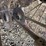 oliver-superior-8ft-grain-drill-image-22