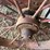 oliver-superior-8ft-grain-drill-image-35