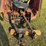 bush-hog-3715-image-2