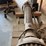 #110-•-buss-88-planer-image-13