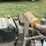 #124-•-massey-ferguson-mf210-tractor-image-23