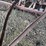 oliver-superior-8ft-grain-drill-image-8
