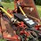 15’-bush-hog-2615,-batwing-image-4