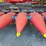 2001-geringhoff-rota-disc-8-row-30”-chopping-corn-head,-red-poly-snouts,-headsite,-flagship-hookup,-image-10