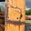 minneapolis-moline-image-56