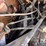 2005-kenworth-t800-image-55