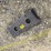 #230-•-#26363-•-unused-dingo-mini-skid-steer-mounting-plate-image-2