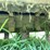 case-flail-mower-image-9