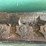 oliver-superior-8ft-grain-drill-image-59