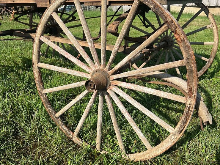 horse-drawn-buggy-image-11