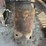 minneapolis-moline-sheet-metal-and-fuel-tank-image-8