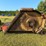bush-hog-3715-image-10