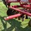 case-ih-496-image-39