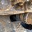 2016-caterpillar-306e-image-11