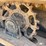 2006-caterpillar-252b-image-20
