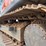 2019-doosan-dx350-lc-5-image-16