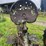 massey-harris-rear-end-image-15
