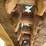 2018-caterpillar-299d2-image-12