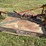 6-foot-bush-hog,-three-point-hitch-image-5
