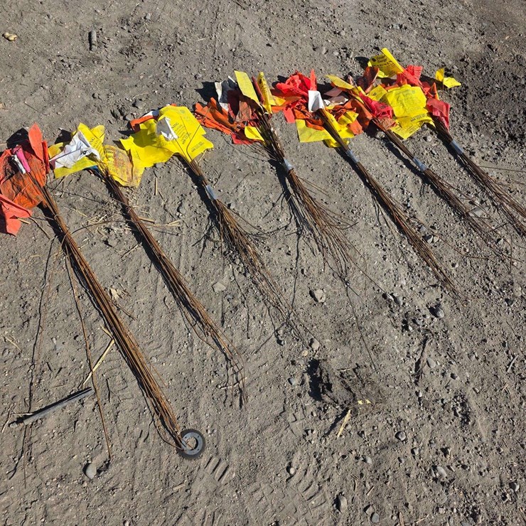 Flag Markers, Buying All for One Money