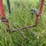 mayrath-truck-auger-image-21