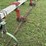 harriston-5200-image-16