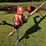 westfield-mk-8"-x-61'-auger-with-single-auger-swing-hopper,-hydraulic-lift,-15"-tires-*one-will-need-image-3