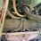 #280-•-#24138-•-inop-1971-ford-t/a-single-cab-auger-truck-n80fvl70713-image-24