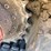 2019-takeuchi-tb290-image-21