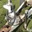 willmar-600-image-10