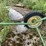 john-deere-428-image-19