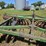 john-deere-bw-image-14