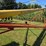 westfield-mk-8"-x-61'-auger-with-single-auger-swing-hopper,-hydraulic-lift,-15"-tires-*one-will-need-image-10
