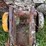 massey-harris-rear-end-image-9