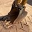 2016-caterpillar-303.5e2-cr-image-10