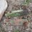 john-deere-semi-mounted-sickle-mower-image-9