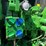 2014-john-deere-6125r-image-12