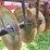 case-ih-496-image-22