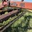 new-holland-259-image-8