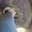 artsway-325-image-28
