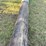 (3)-high-line-poles,-1-–-45’,-1-–-40’-and-1-–-30’,-buying-all-for-one-money-image-8