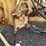 massey-ferguson-mf34a-image-22