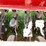 case-ih-5100-image-5