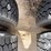 1987-kenworth-t800-image-10