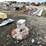 #2000-•-#26537-•-unused-sdlool-sl90b-concrete-power-trowel-sfmgj250797-image-1